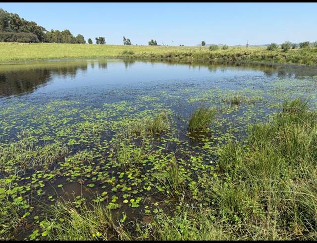FARM FOR SALE IN BETHLEHEM RURAL
